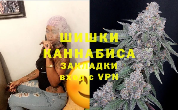 стаф Волосово