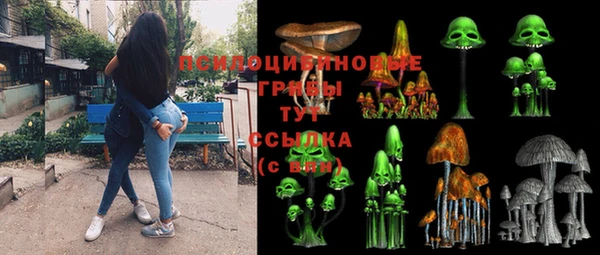 дживик Тихвин