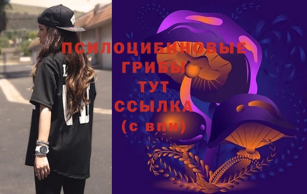стаф Волосово