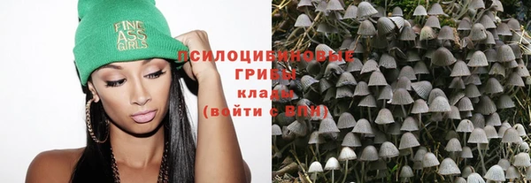 гашик Бронницы