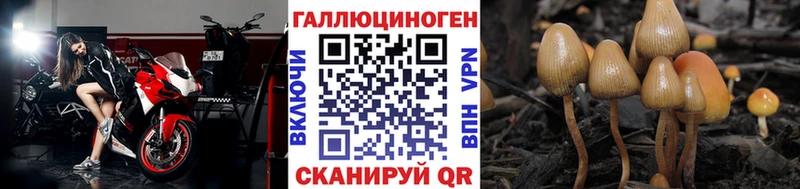 Галлюциногенные грибы Psilocybe сколько стоит Добрянка